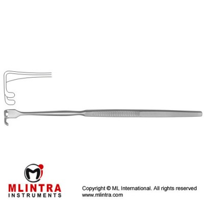 Retractor Two Blunt Prongs Stainless Steel, 16 cm - 6 1/4" Blade Size 14 x 8 mm